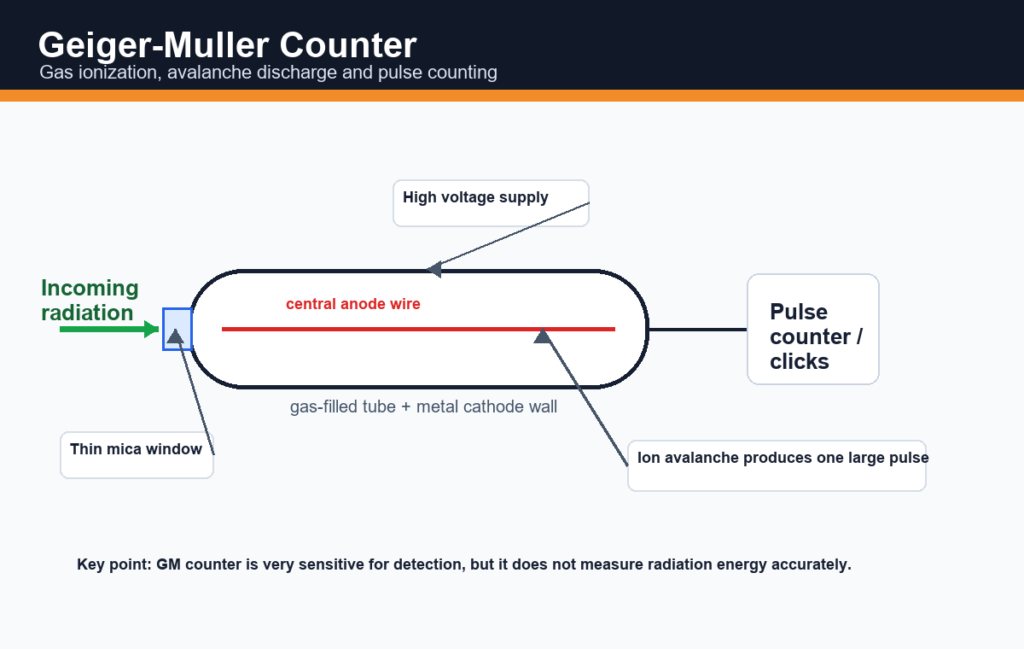 Labelled diagram of Geiger-Muller counter showing mica window, gas-filled tube, anode wire, high voltage supply, ion avalanche and pulse counter