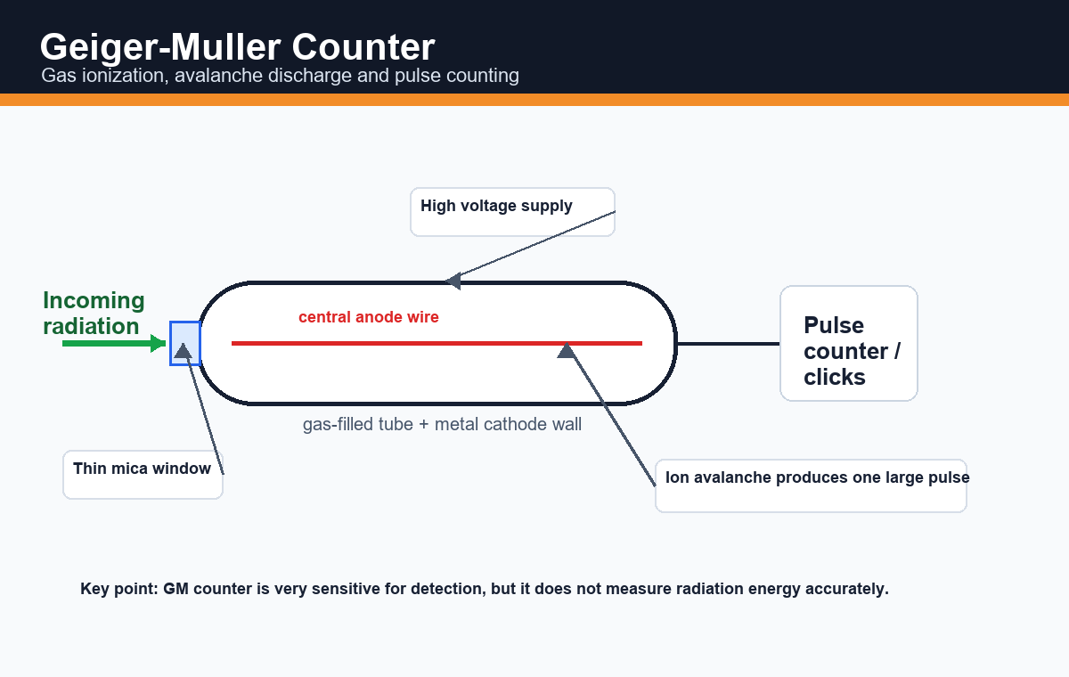 Labelled diagram of Geiger-Muller counter showing mica window, gas-filled tube, anode wire, high voltage supply, ion avalanche and pulse counter