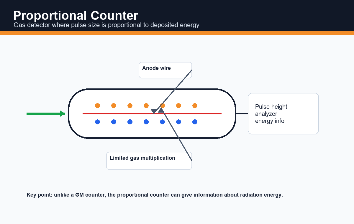 Labelled diagram of proportional counter showing gas tube, anode wire, limited gas multiplication and pulse height analyzer